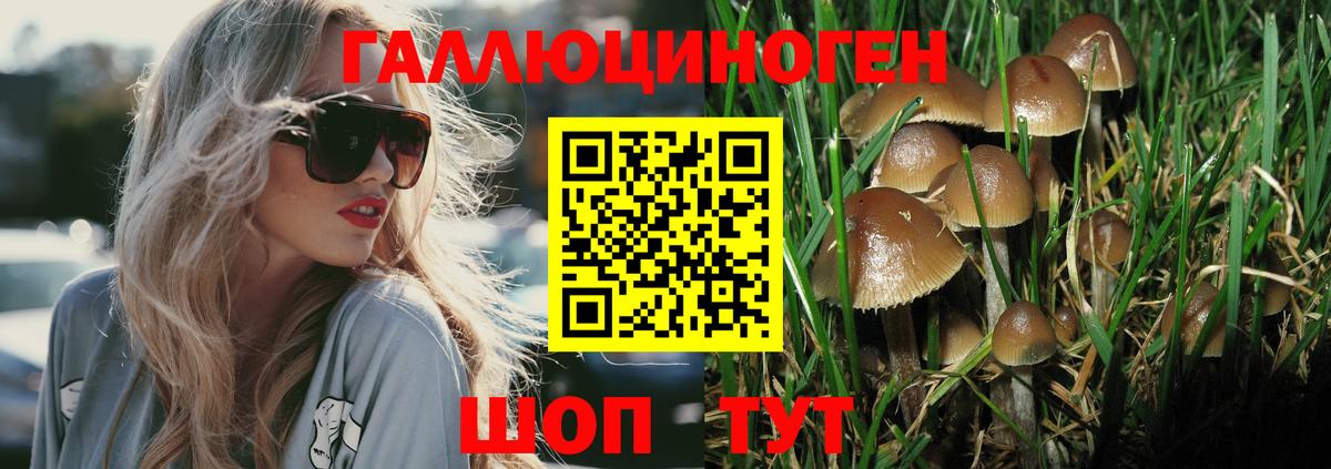 Галлюциногенные грибы ЛСД Нарткала