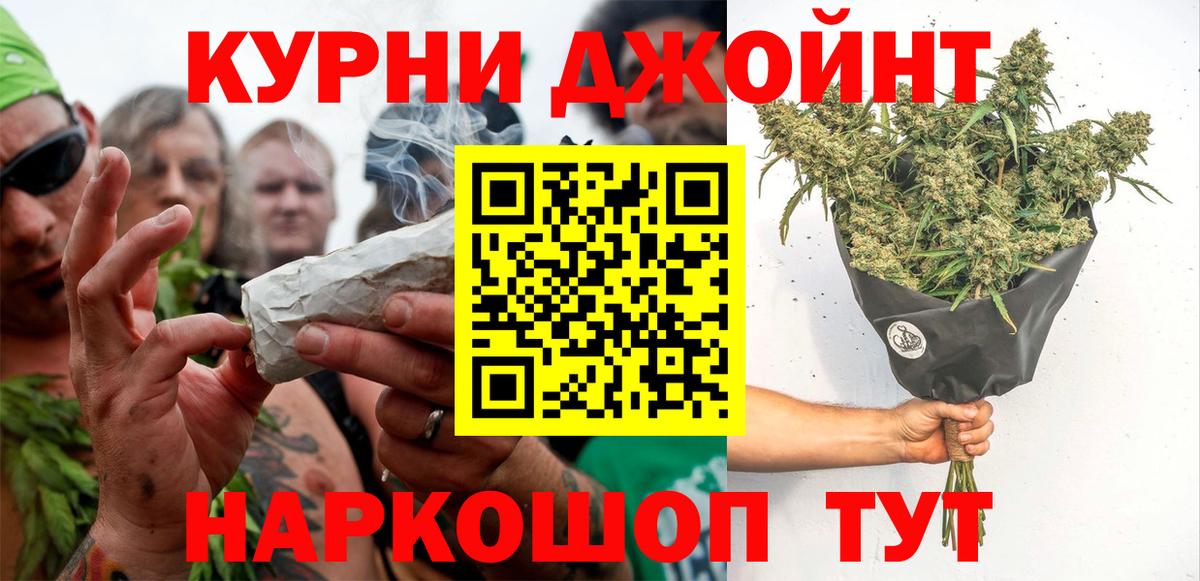 Бошки Шишки сатива Нарткала