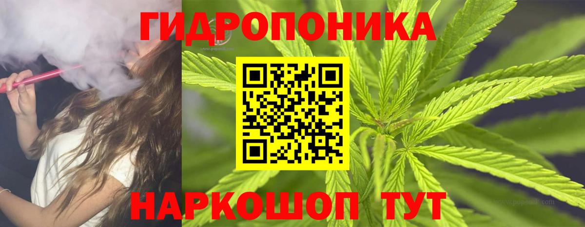 Бошки марихуана MAZAR  Вход с VPN  Конопля сатива  Бошки марихуана сатива  Нарткала 